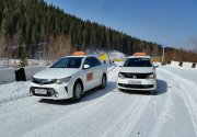Все автомобили, на фотографиях, действительно представляют собой автомобильный парк такси Торнадо.